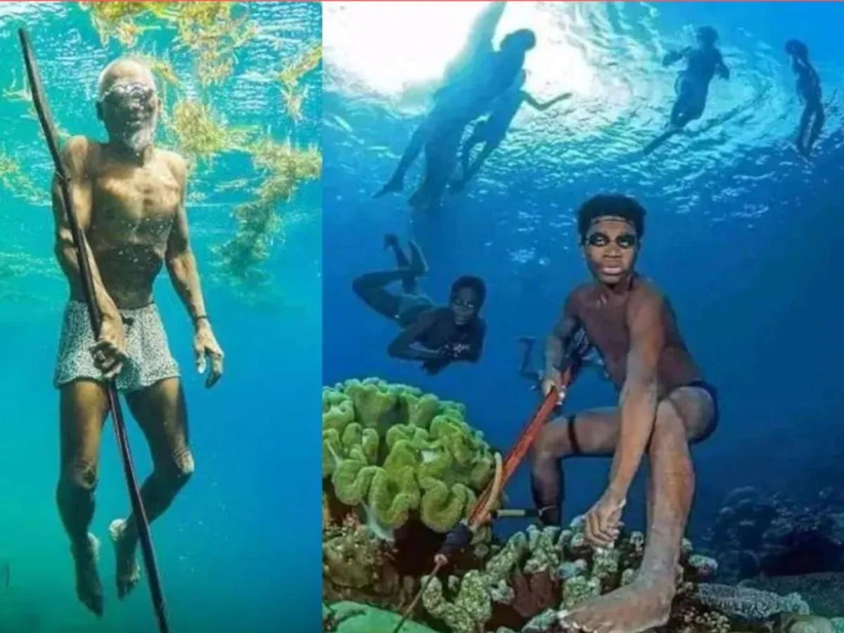 Bajau Tribe, बाजाऊ जनजाति, Sea Nomads, समुद्री खानाबदोश, Sea Gypsies, समुद्री जिप्सी, Traditional Fishing, पारंपरिक मछली पकड़ना, odd news, omg, ajab gajab news, shocking news, unreal news, khabre jara hatke, Offbeat News, Strange news, ajab gajab, uncancy news, trending news, bizzare news, viral news, Trending Video, OMG story, strange story, unearthly story