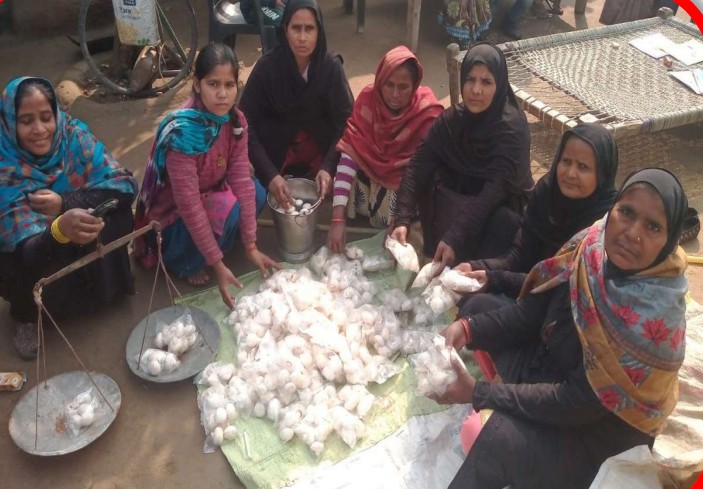 Shahjahanpur, Jindpura, Neha Kashyap, Sanjay Kumar, MNREGA, शाहजहांपुर, जिंदपुरा, नेहा कश्यप, संजय कुमार, मनरेगा
