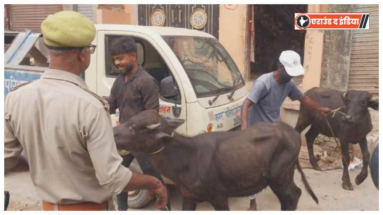Bhadohi police raid, Kasai Tola illegal slaughterhouse, Bhadohi meat trade crackdown, police action in Jamund area, animal remains recovered, Bhadohi news 2025, illegal meat trade UP, Sachchidanand Pandey Bhadohi police, animal cruelty case Bhadohi, Uttar Pradesh police operation, illegal butcher houses India, animal protection law UP, Bhadohi law enforcement news, cow slaughter case Bhadohi, UP police raid news today