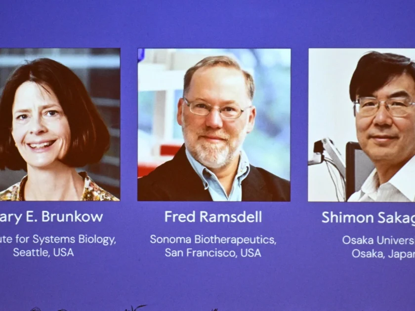 Nobel Prize in Medicine 2025,Immunology research,Mary E, Brunkow,Fred Ramsdell,Shimon Sakaguchi,Immune system regulation,Nobel Jury announcement,United States,Japan