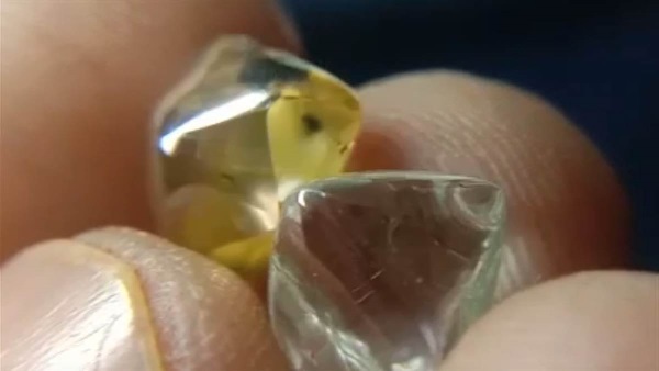 Panna News , Laborer becomes a millionaire , Laborer gets diamond , Laborer gets diamond worth crores , MP News , MP Latest News , Madhya Pradesh News , पन्ना समाचार , मजदूर बना करोड़पति , मजदूर को मिला हीरा