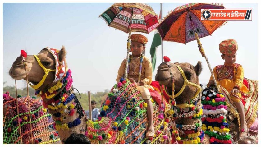 Pushkar Cattle Fair 2025, Pushkar Mela news, Camel trade Pushkar, Horse traders Punjab Haryana, Pushkar camel fai