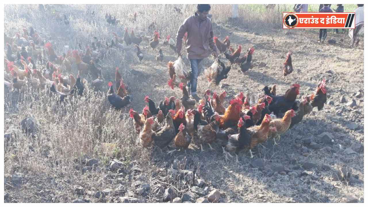 Jaunpur news, chicken pickup accident, chicken looting incident, Chandvak Jaunpur, Uttar Pradesh news, bizarre accident India, rural crowd chaos, viral news Jaunpur
