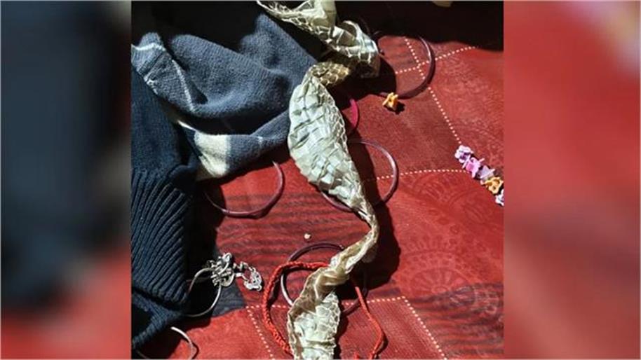 Auraiya news, Nagina drama Auraiya, snake skin mystery, girl missing UP, Auraiya police news, superstition news Hindi, love affair elopement, सांप की केंचुली मामला, औरैया अंधविश्वास खबर, नागिन बनने की अफवाह