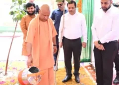 यूपी में हरियाली महाअभियान को मिली रफ्तार: शिक्षण संस्थानों ने एक दिन में लगाए 43 लाख पौधे, 35 करोड़ पौधारोपण अभियान को मिला बड़ा सहयोग
